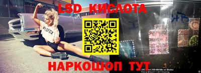 СК Нальчик