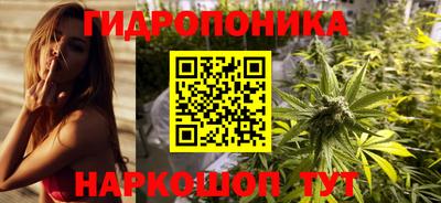 jwh Новозыбков
