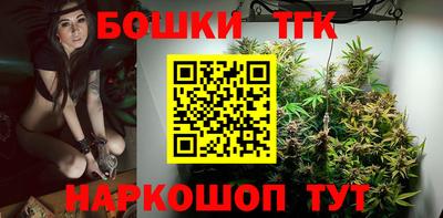 МДПВ Новодвинск