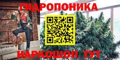 МДПВ Новодвинск